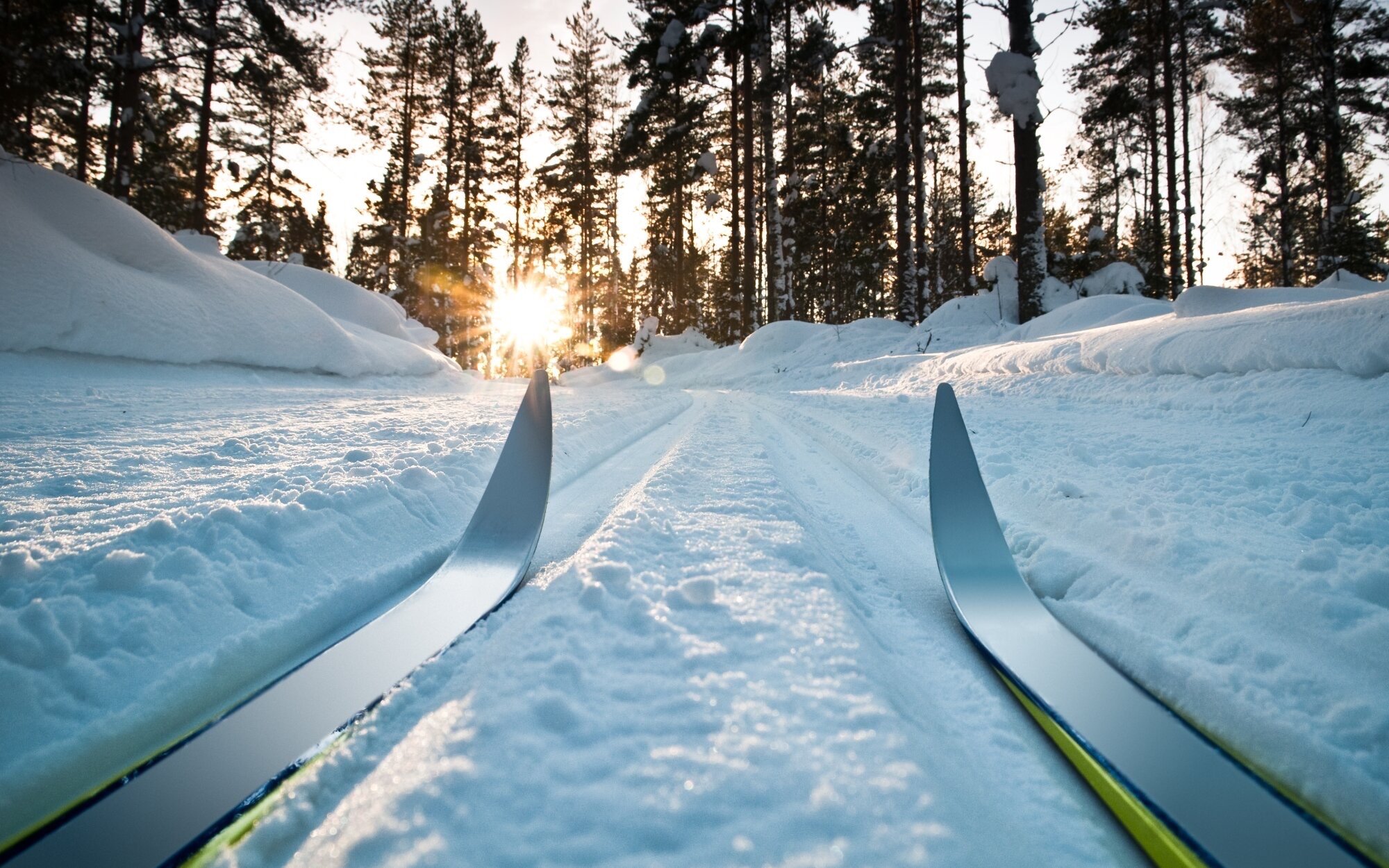 Состязания по лыжным гонкам.