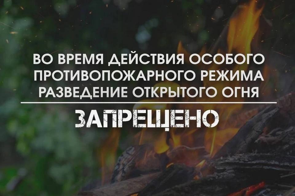 С 15 апреля до 13 мая 2024 года на территории Вологодской области установлен особый противопожарный режим..