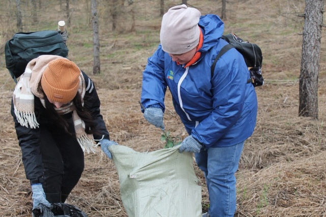 Сотрудники Вологодского Росреестра приняли участие в экологическом квесте «Чистые игры».