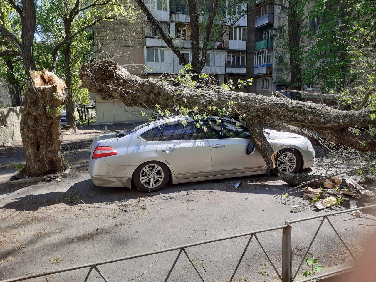 Какой машины падают. Дерево упало на автомобиль. Упавшие деревья на машину. Падение дерева на автомобиль. Дерево упало на машину в Москве.