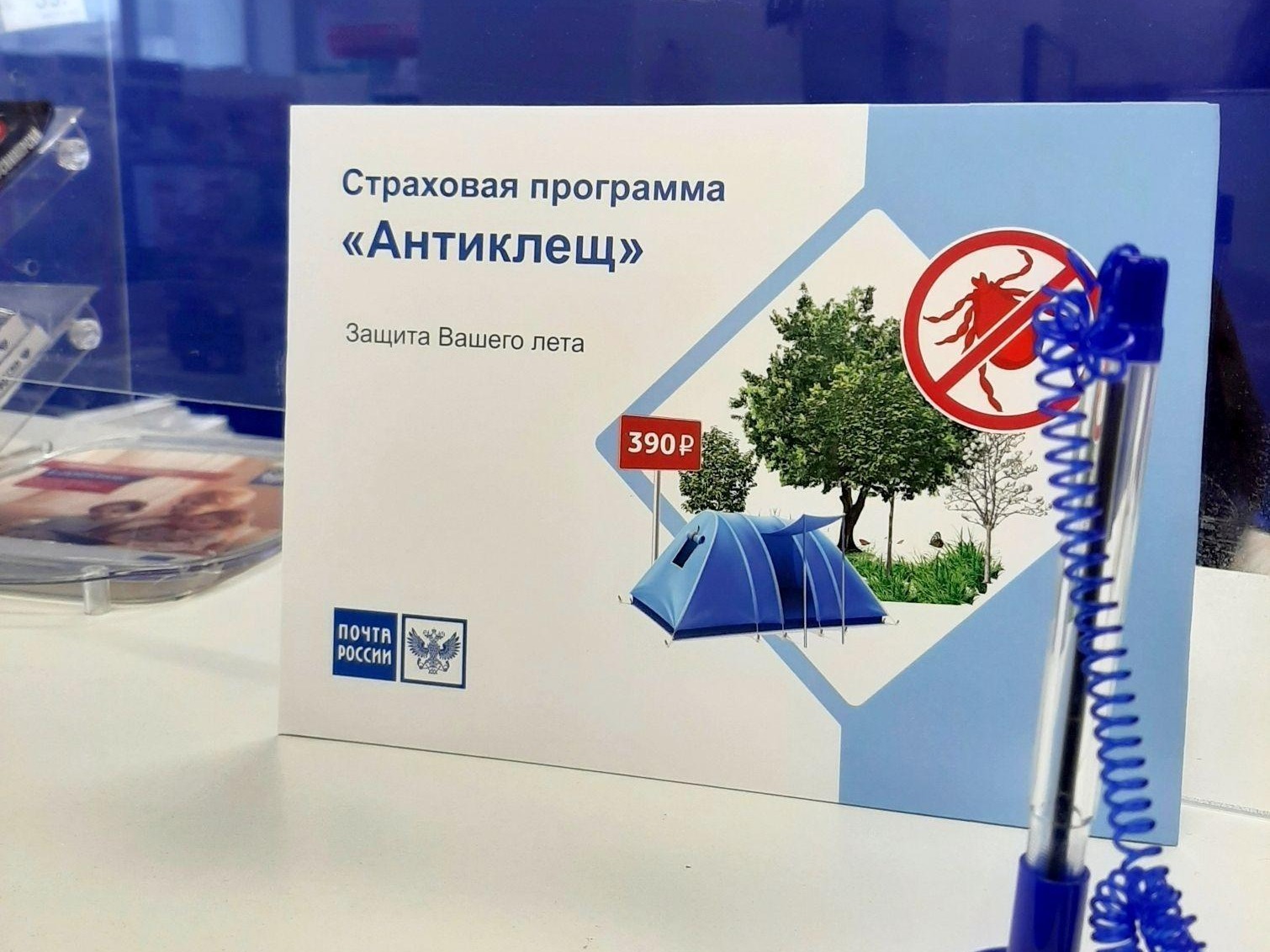 Жители Вологодской области могут застраховаться от укусов клещей в почтовых отделениях.